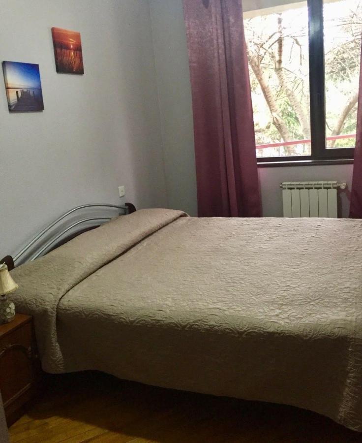 Irina'S Apartment Old Tbilisi Centr Mtatsminda المظهر الخارجي الصورة
